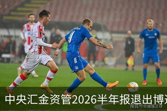 中央汇金资管2026半年报退出博迁新材前十大股东名单