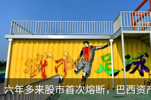 六年多来股市首次熔断，巴西资产遭全面重估