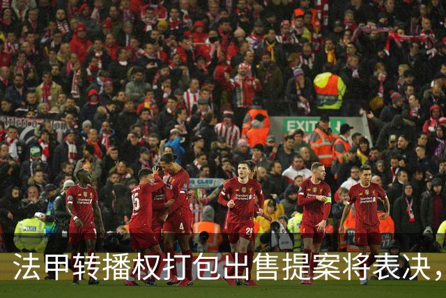 法甲转播权打包出售提案将表决，自营平台年入不足9000万欧